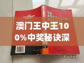 澳门王中王100%期期中,澳门王中王期期中与犯罪问题