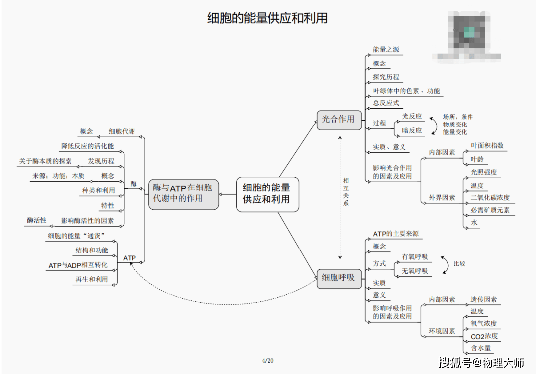 白小姐三肖三期必出一期开奖哩哩,白小姐三肖三期必出一期开奖哩哩——揭秘彩票神话与真实面貌