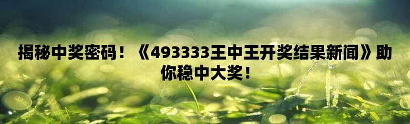 王中王493333WWW,王中王与数字的魅力，探索未知的493333WWW世界