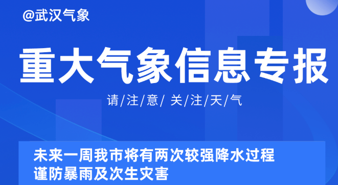 2025新奥资料免费49图库,探索未来资料宝库，新奥资料免费图库与未来展望（附详细图库指南）