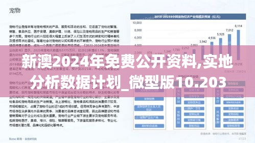 2025新澳兔费资料琴棋095期 06-19-32-45-46-48T：19,探索新澳兔费资料琴棋的第095期——神秘数字组合之旅（T，19）